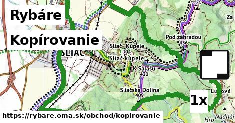 Kopírovanie, Rybáre