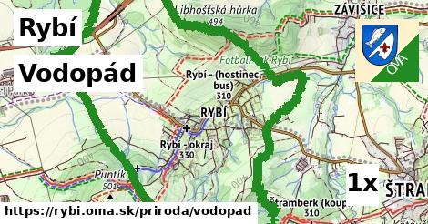 Vodopád, Rybí