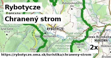 Chranený strom, Rybotycze