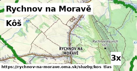 kôš v Rychnov na Moravě