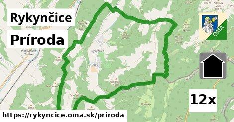 príroda v Rykynčice