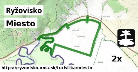 Miesto, Ryžovisko