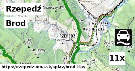 Brod, Rzepedź
