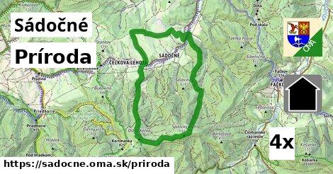 príroda v Sádočné