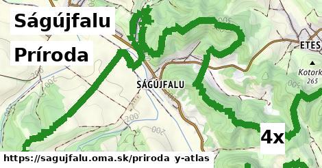 príroda v Ságújfalu
