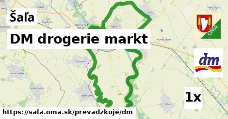 DM drogerie markt, Šaľa