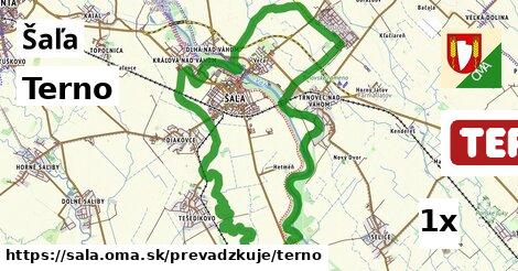 Terno, Šaľa