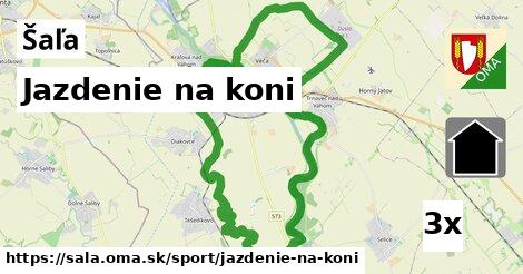 Jazdenie na koni, Šaľa