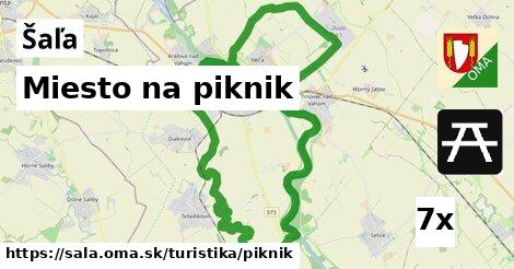 Miesto na piknik, Šaľa