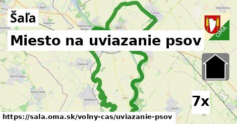 Miesto na uviazanie psov, Šaľa