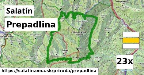 Prepadlina, Salatín