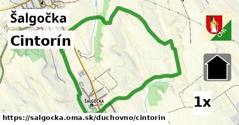 Cintorín, Šalgočka