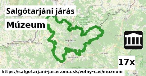 Múzeum, Salgótarjáni járás