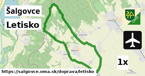 Letisko, Šalgovce