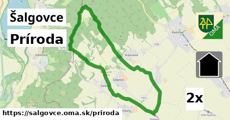 príroda v Šalgovce