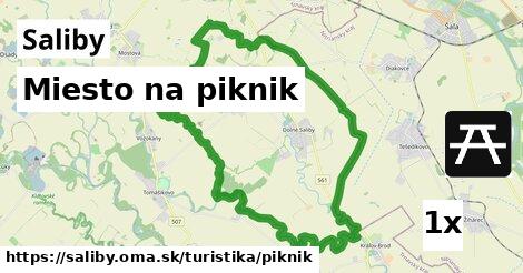 Miesto na piknik, Saliby