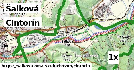 Cintorín, Šalková