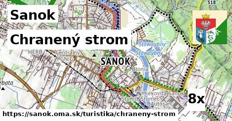 Chranený strom, Sanok