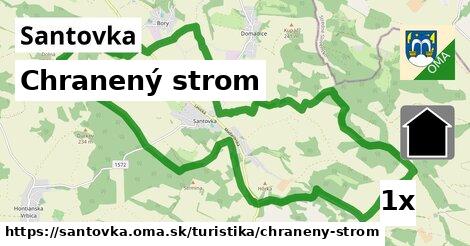 Chranený strom, Santovka