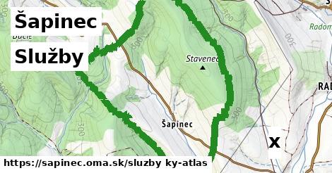 služby v Šapinec