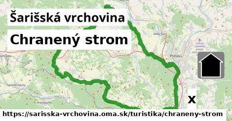 Chranený strom, Šarišská vrchovina