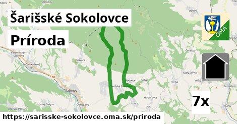 príroda v Šarišské Sokolovce