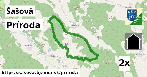 príroda v Šašová, okres BJ