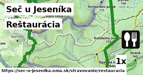 reštaurácia v Seč u Jeseníka