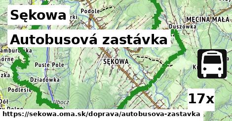 Autobusová zastávka, Sękowa