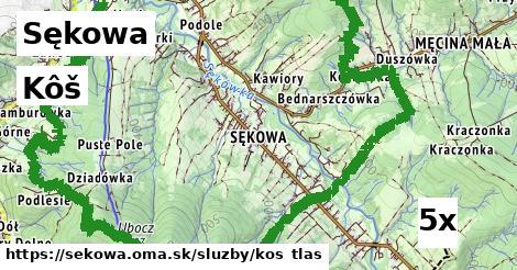 kôš v Sękowa