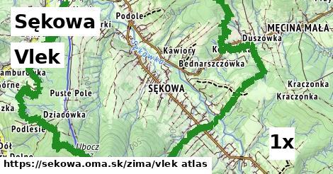 vlek v Sękowa