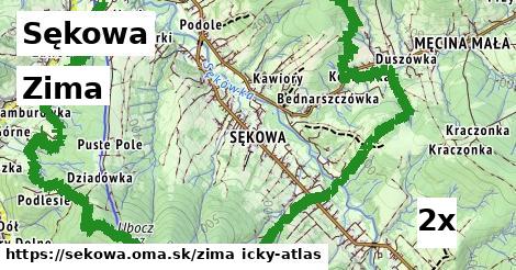 zima v Sękowa