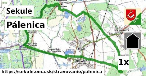 pálenica v Sekule