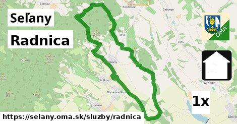 Radnica, Seľany