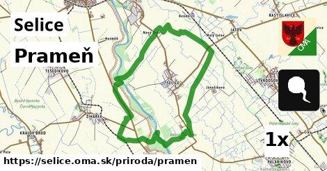 Prameň, Selice