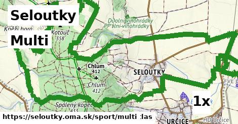 Multi, Seloutky