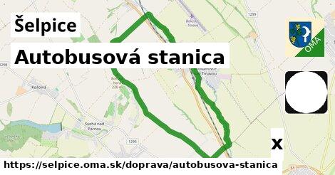 Autobusová stanica, Šelpice