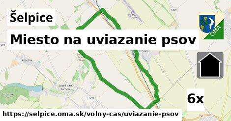 Miesto na uviazanie psov, Šelpice