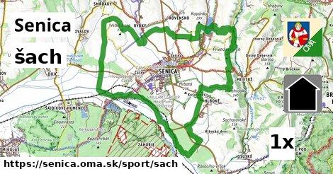 šach v Senica