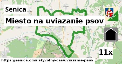 Miesto na uviazanie psov, Senica