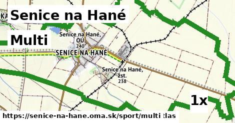 Multi, Senice na Hané