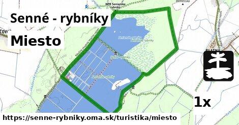 Miesto, Senné - rybníky