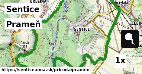 Prameň, Sentice