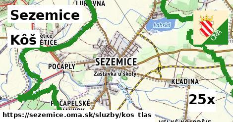 Kôš, Sezemice