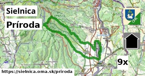 príroda v Sielnica