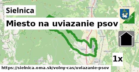 Miesto na uviazanie psov, Sielnica