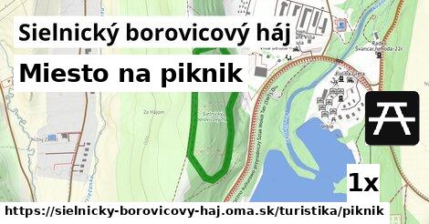 Miesto na piknik, Sielnický borovicový háj
