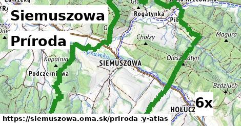 príroda v Siemuszowa