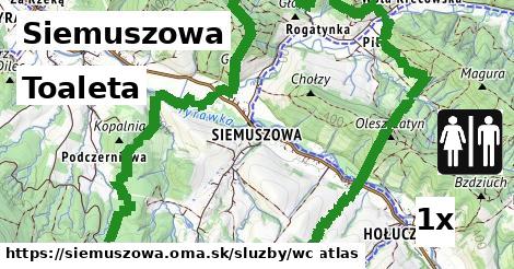 Toaleta, Siemuszowa