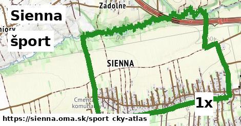 šport v Sienna